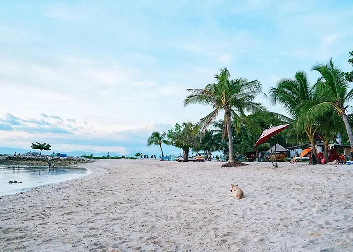 Beachfront With Private Pool On 1,5 Km Lambug Beach, Kawasan Falls 10 Min, Moalboal - The Verge Cebu 배디안