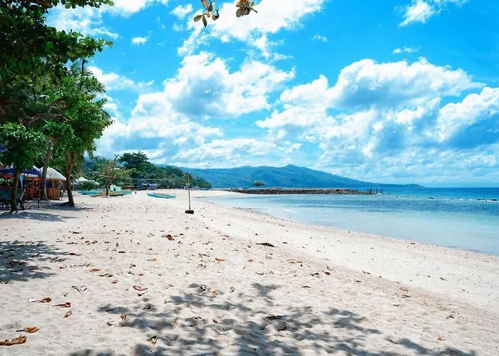 Beachfront With Private Pool On 1,5 Km Lambug Beach, Kawasan Falls 10 Min, Moalboal - The Verge Cebu *